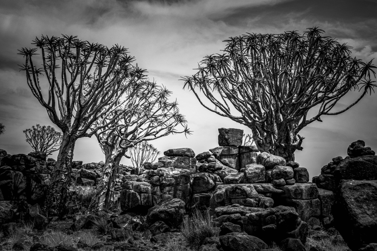 Stacks Image 28