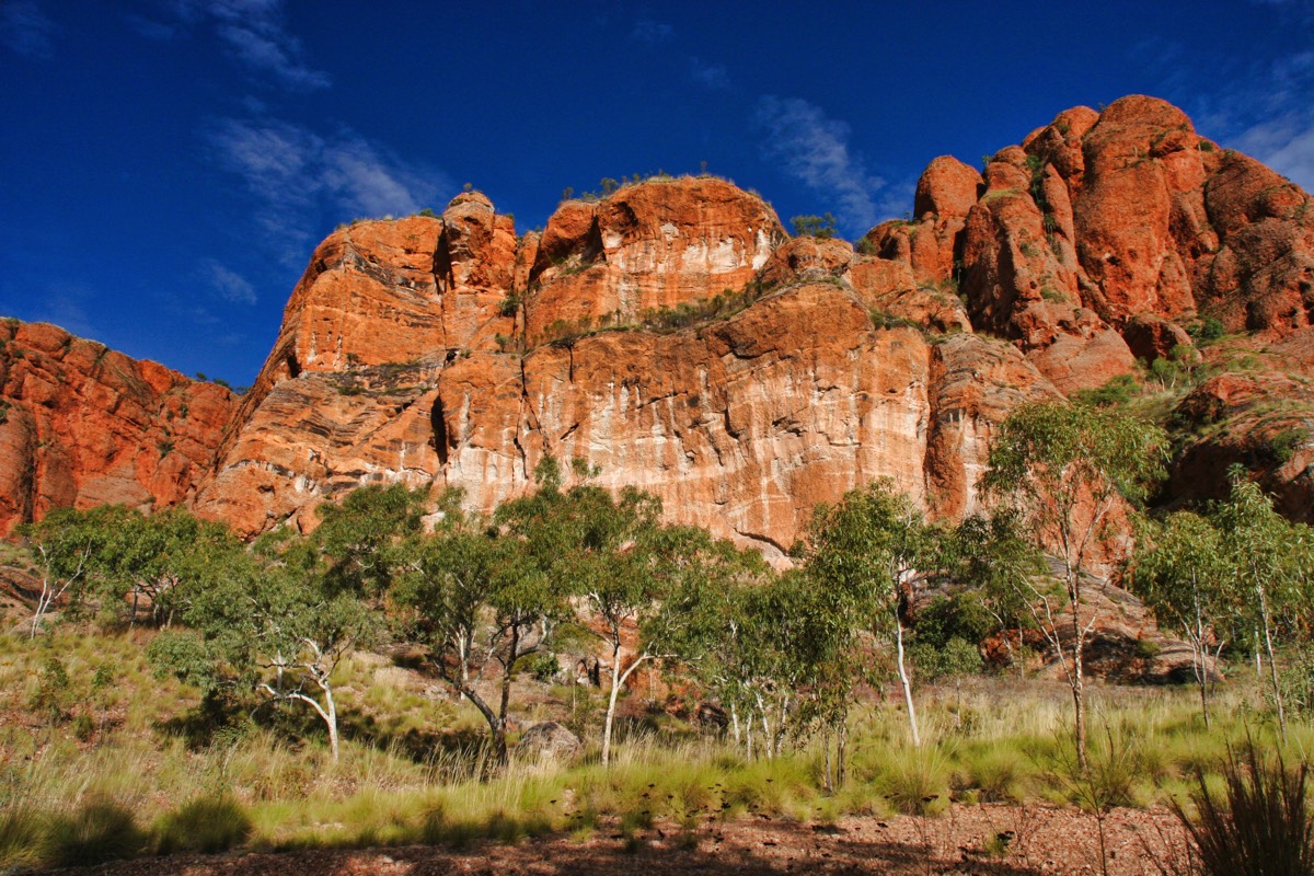 Stacks Image 88