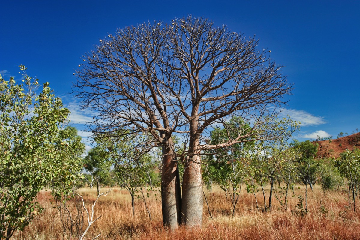 Stacks Image 14