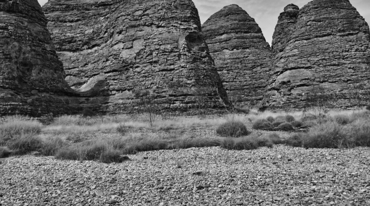 Stacks Image 57